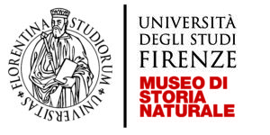 LOGO-MUSEO COLORE copy