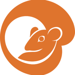 arancione-solo-logo