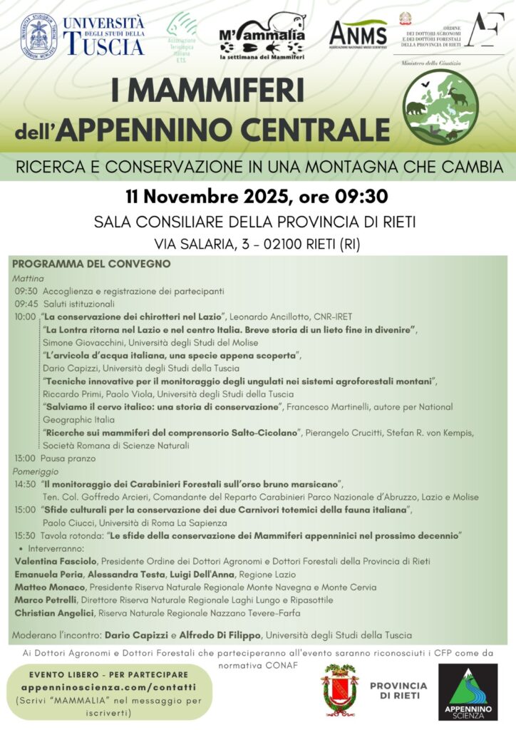Evento_11_novembre_Rieti