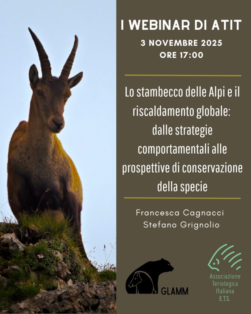 webinar stambecco_3NovGLAMM