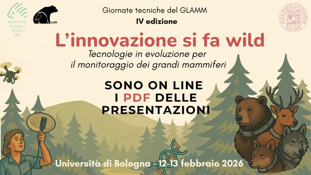 Linnovazione_si_fa_wild_banner